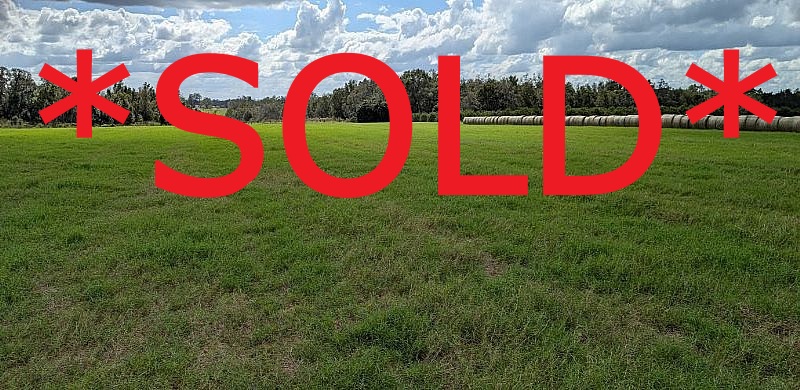 Amberlea Rd 20 Acre Tract AR5 Zoning Density of (4) 5 Acre Sites, Dade City, Pasco County, Fl 33523 SOLD
